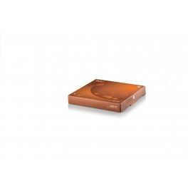 BILANCINA DIGITALE PLAIN EVOLUTION DIVISIONE 1G