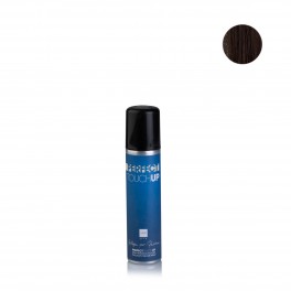 RITOCCO COLORE CAPELLI SPRAY 75ML CASTANO