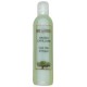IDEEINTESTA SHAMPOO ARGAN 250 ML.
